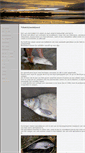 Mobile Screenshot of kneitebijters.nl